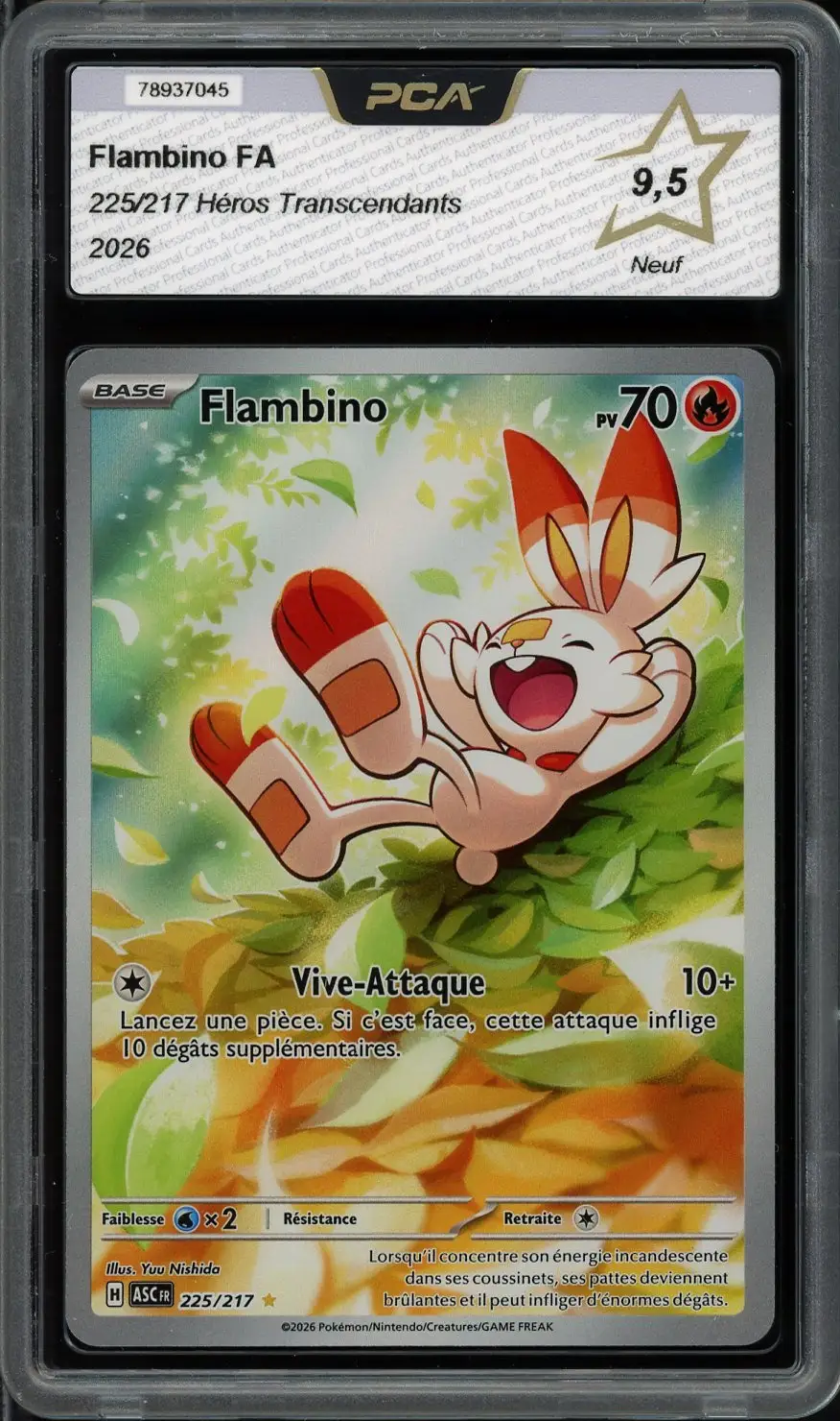 PCA 9.5 Flambino