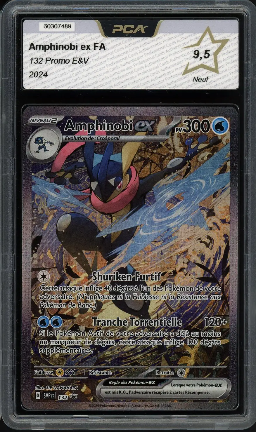 PCA 9.5 Amphinobi Ex