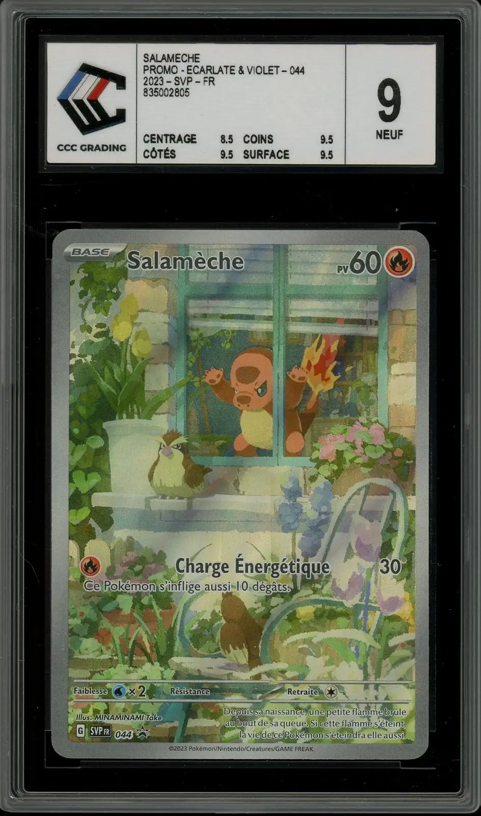 CCC 9 Salamèche