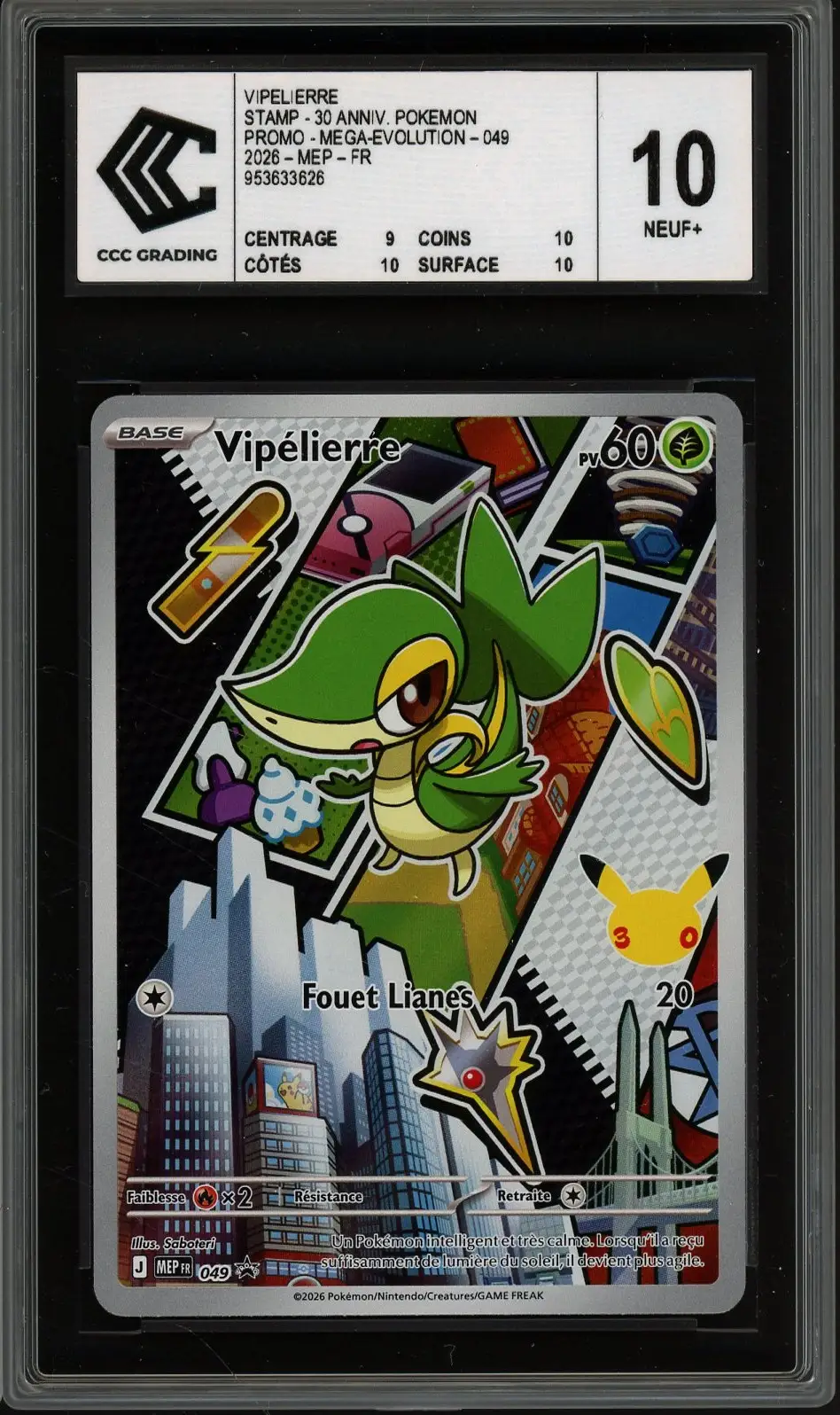 CCC 10 Vipélierre