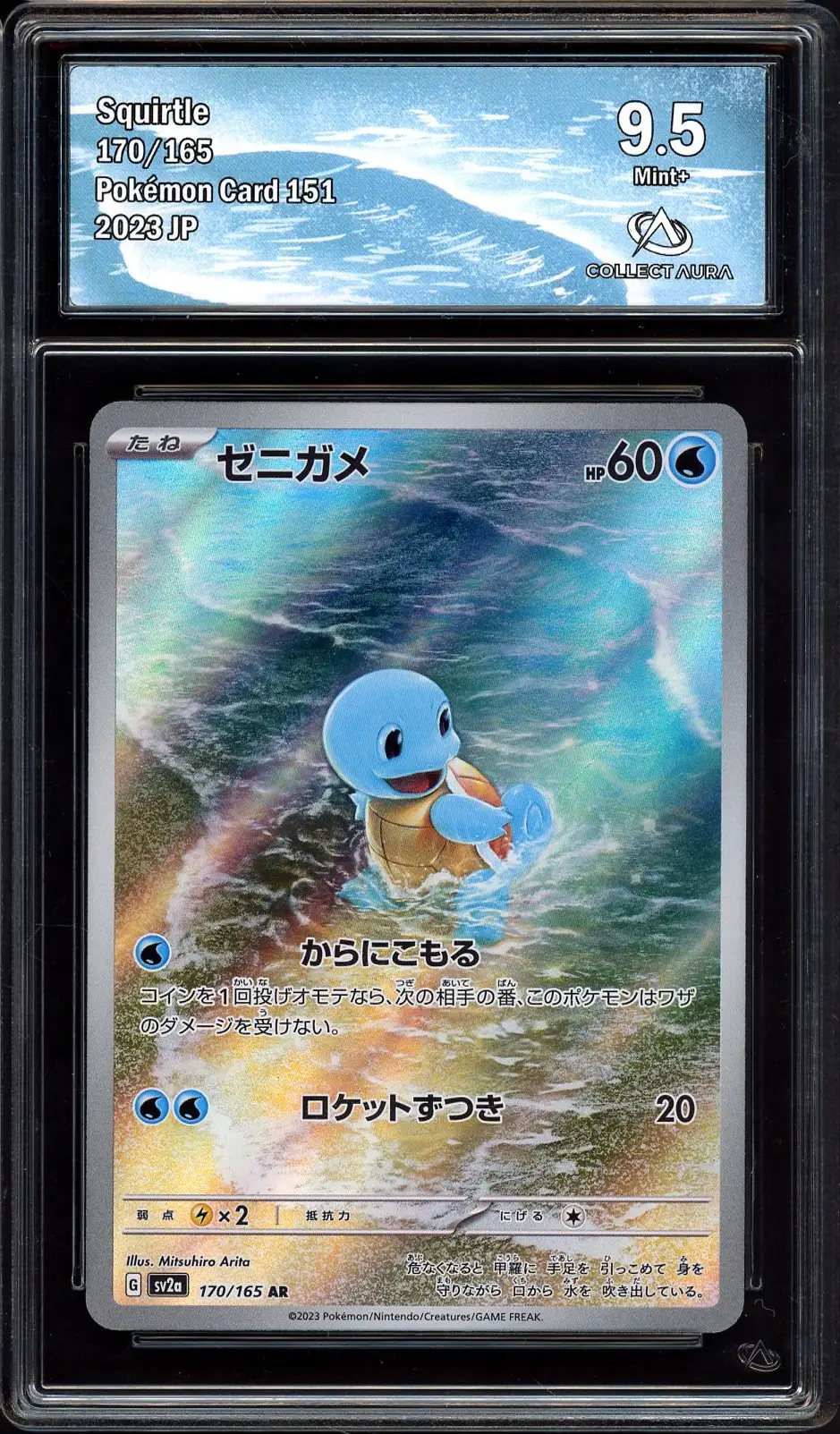 CA 9.5 Squirtle