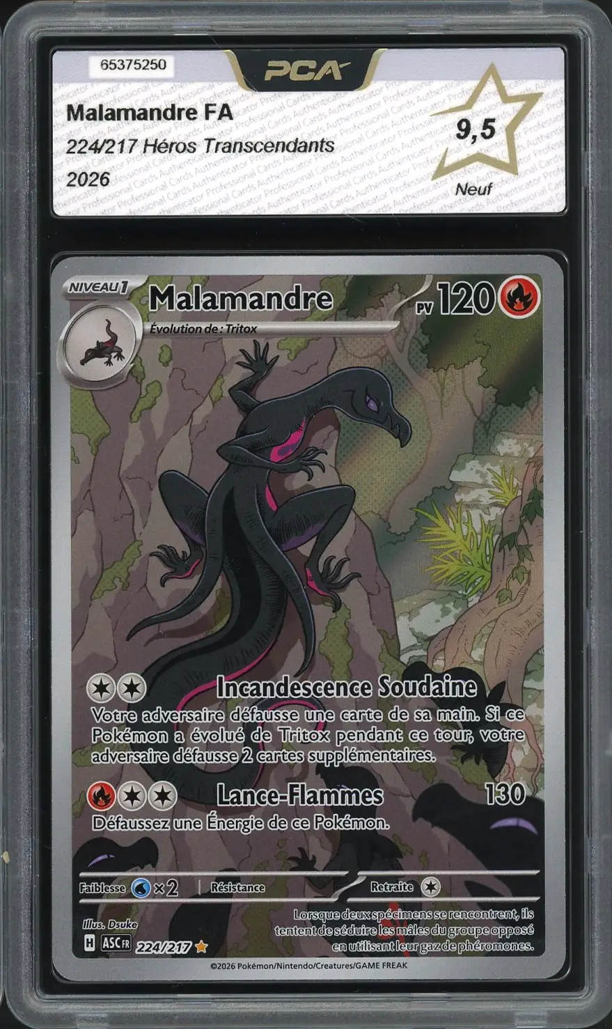 PCA 9.5 Malamandre