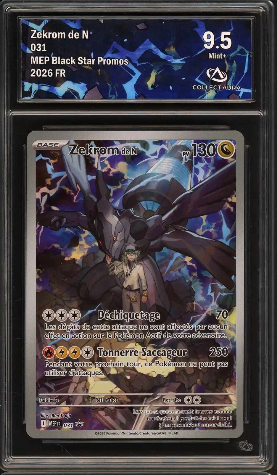 CA 9.5 Zekrom de N