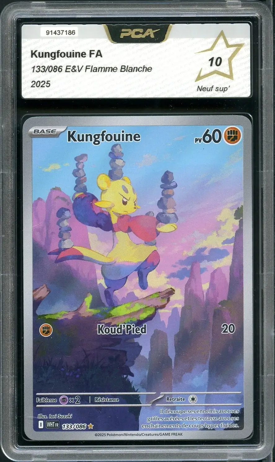 PCA 10 Kungfouine