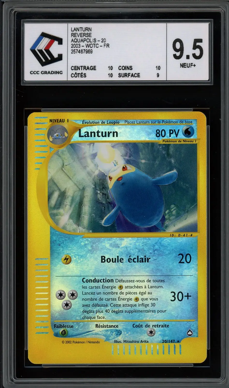 CCC 9.5 Lanturn Reverse