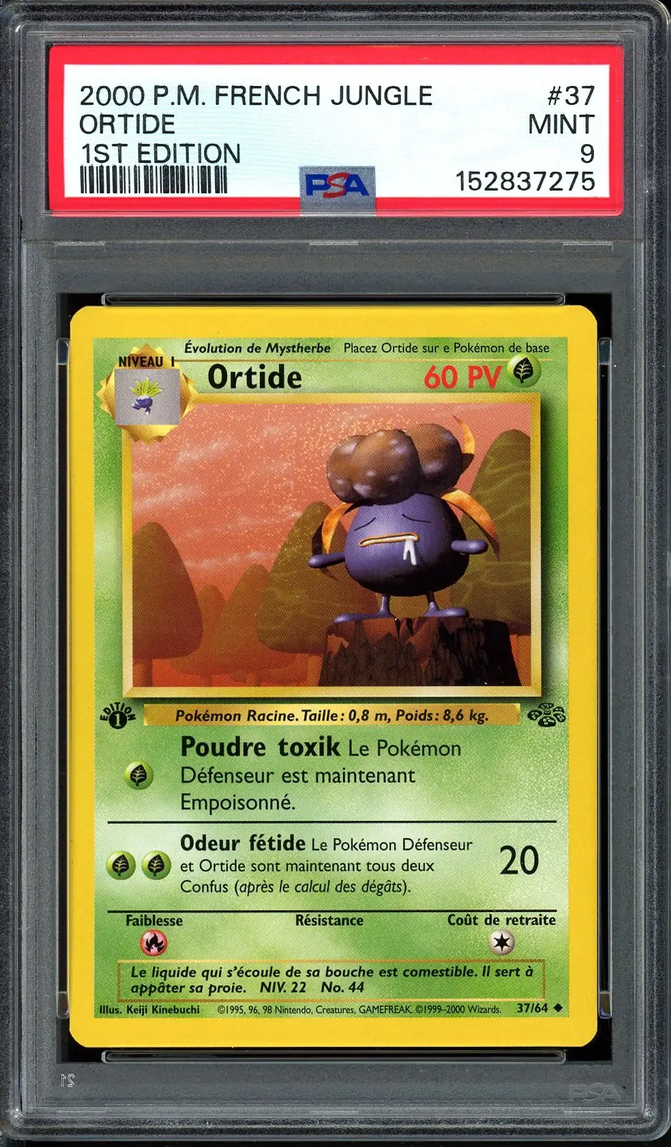 PSA 9 Ortide