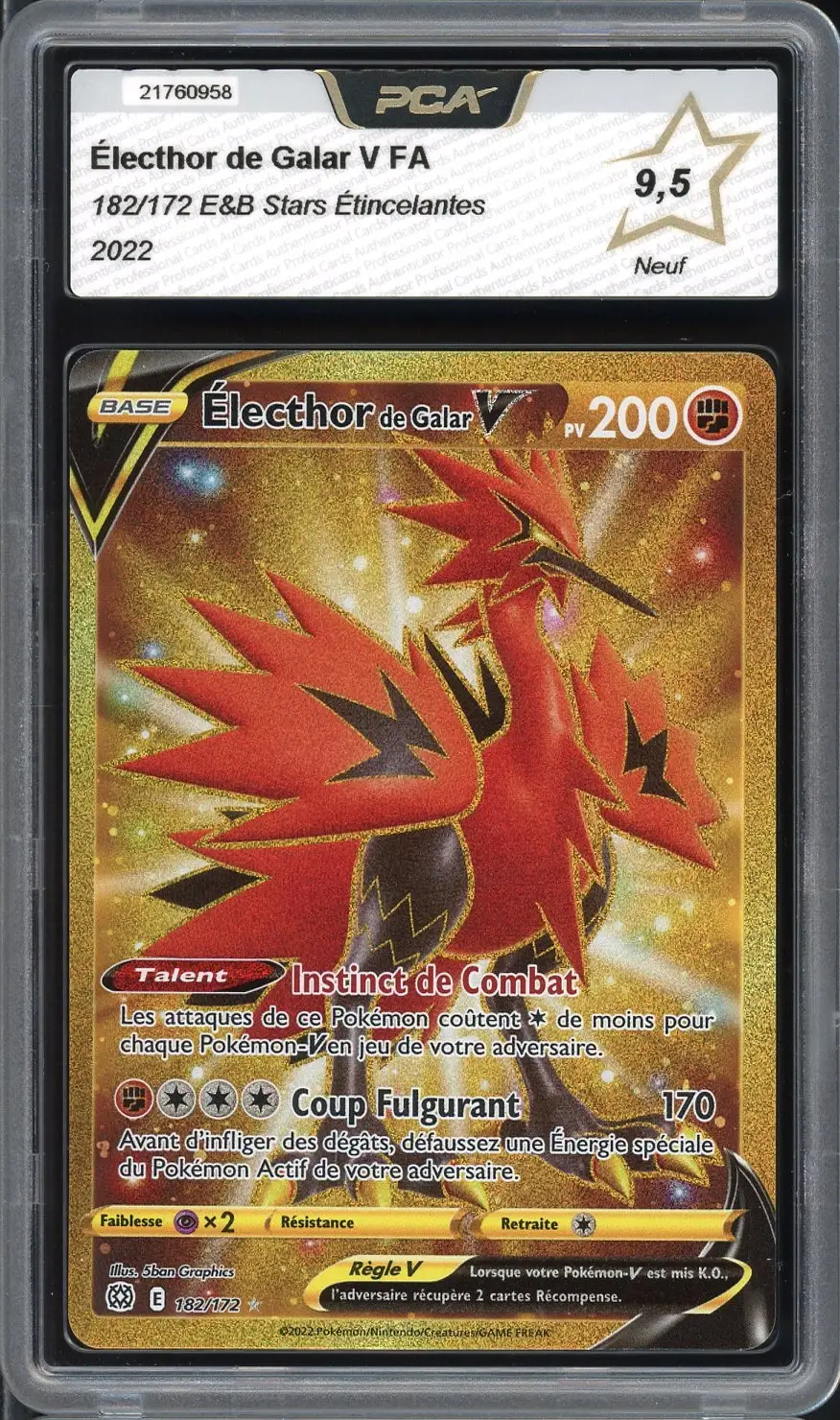 PCA 9.5 Electhor de Galar V Gold