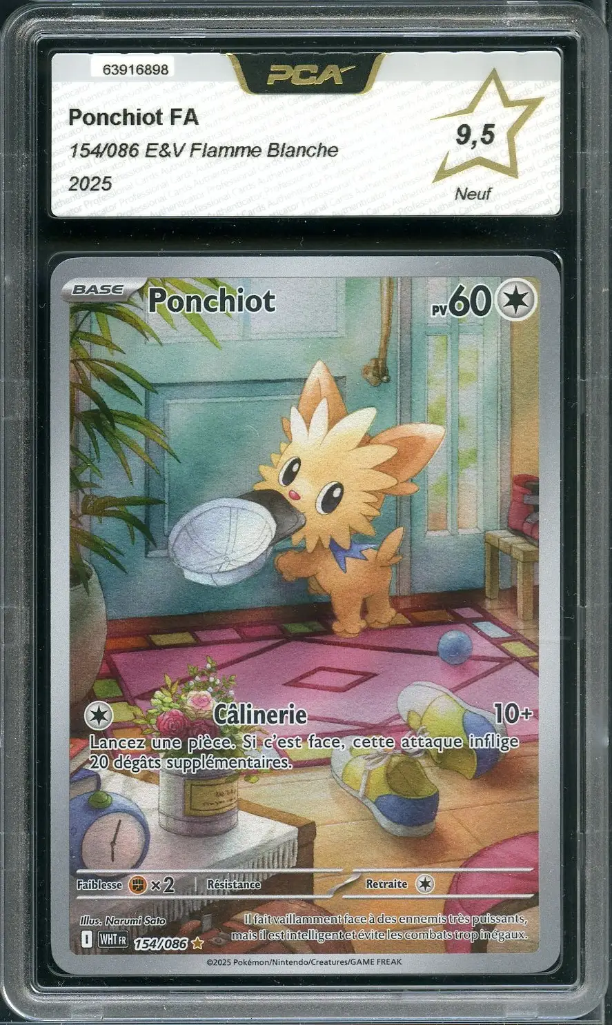 PCA 9.5 Ponchiot
