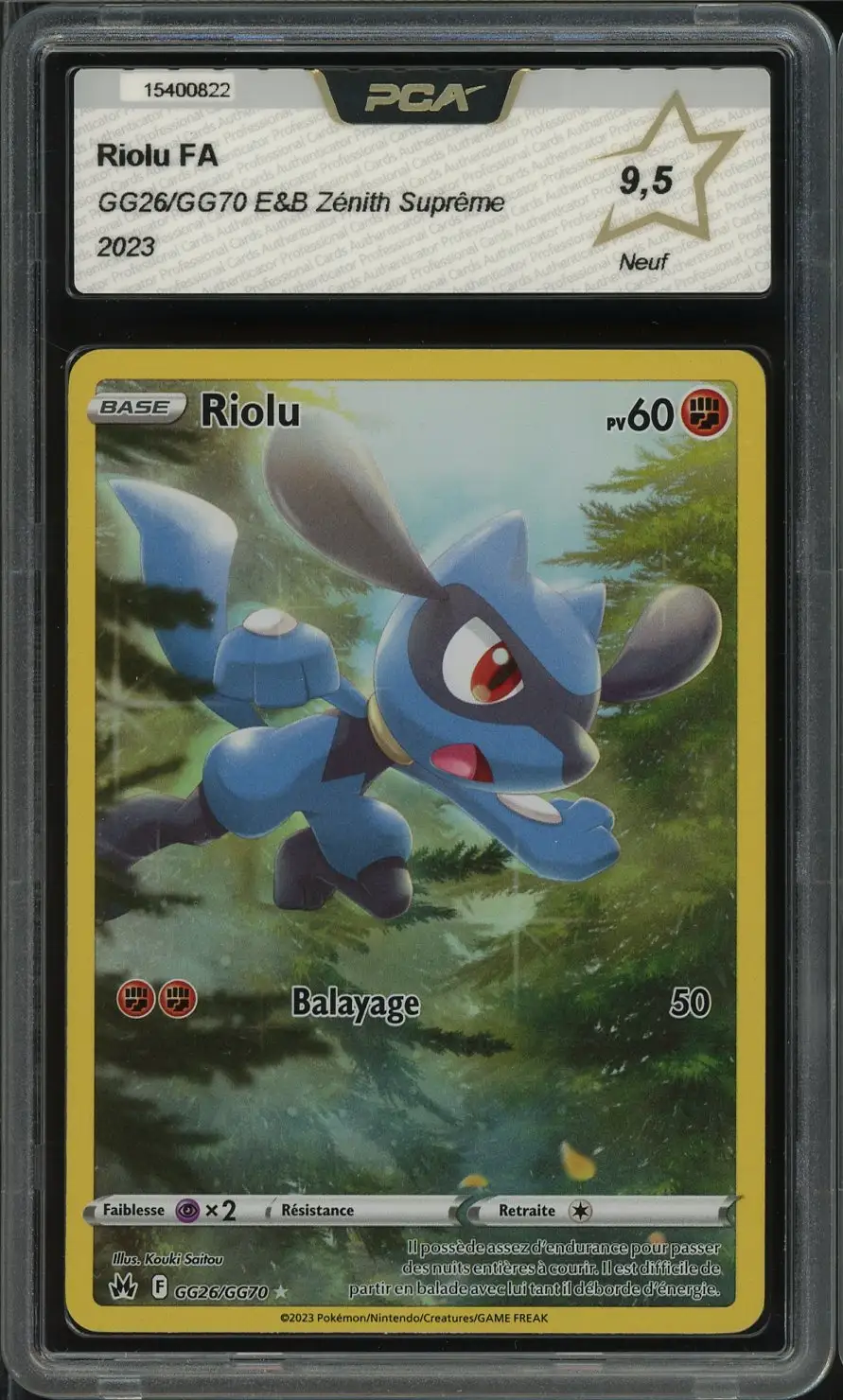 PCA 9.5 Riolu