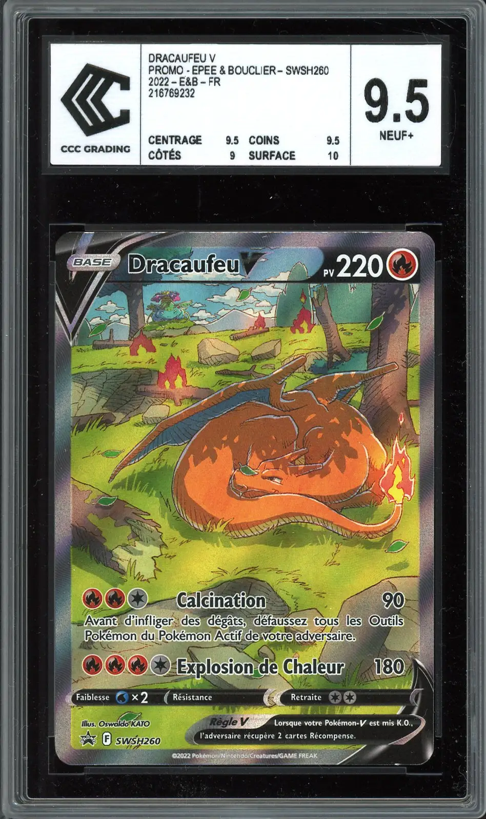 CCC 9.5 Dracaufeu V