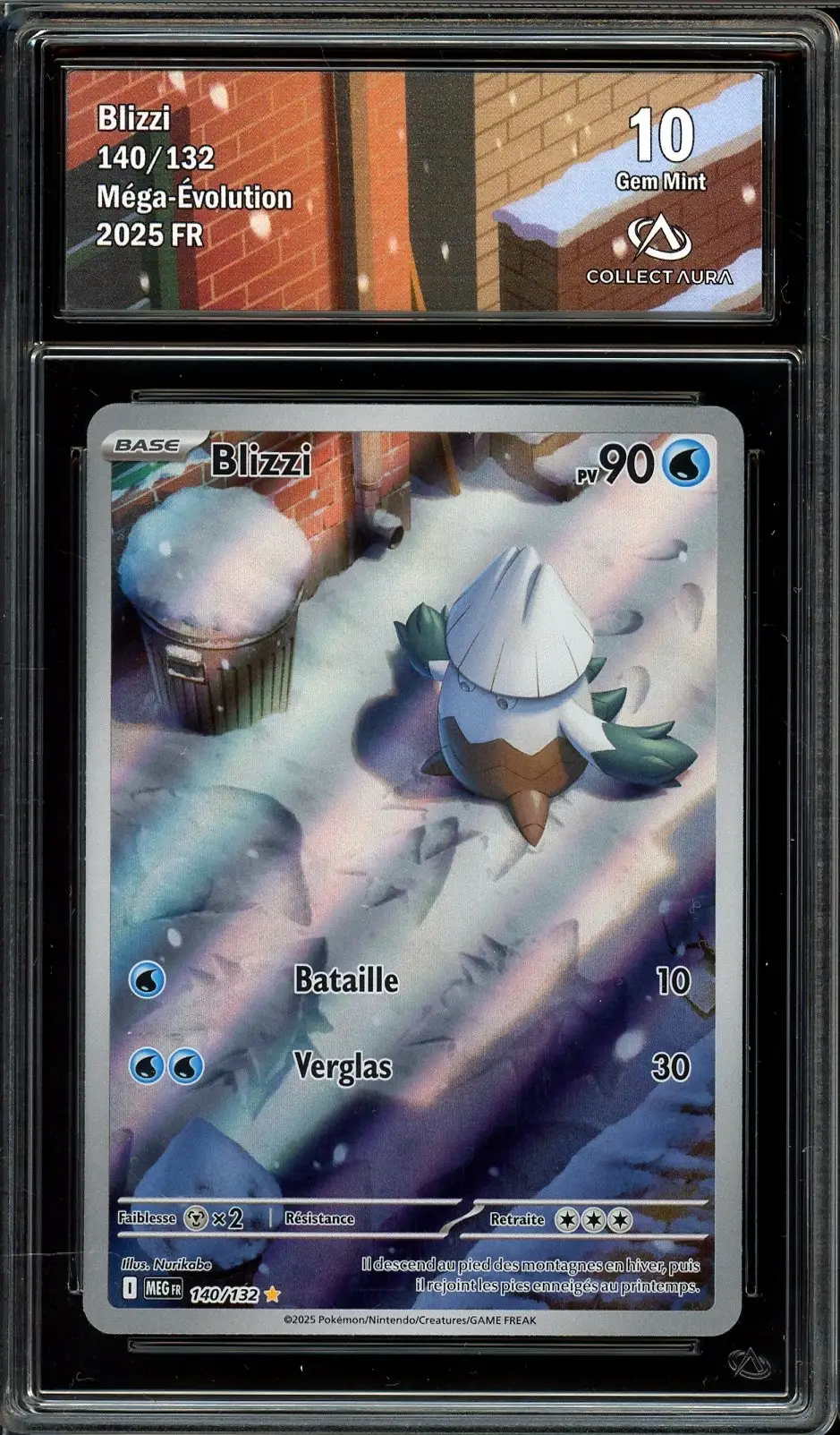 CA 10 Blizzi