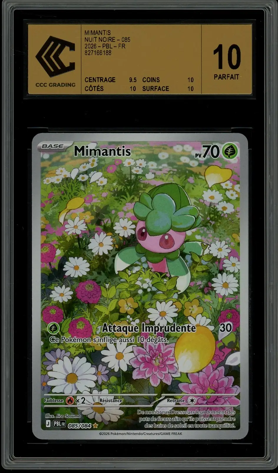CCC 10 Mimantis