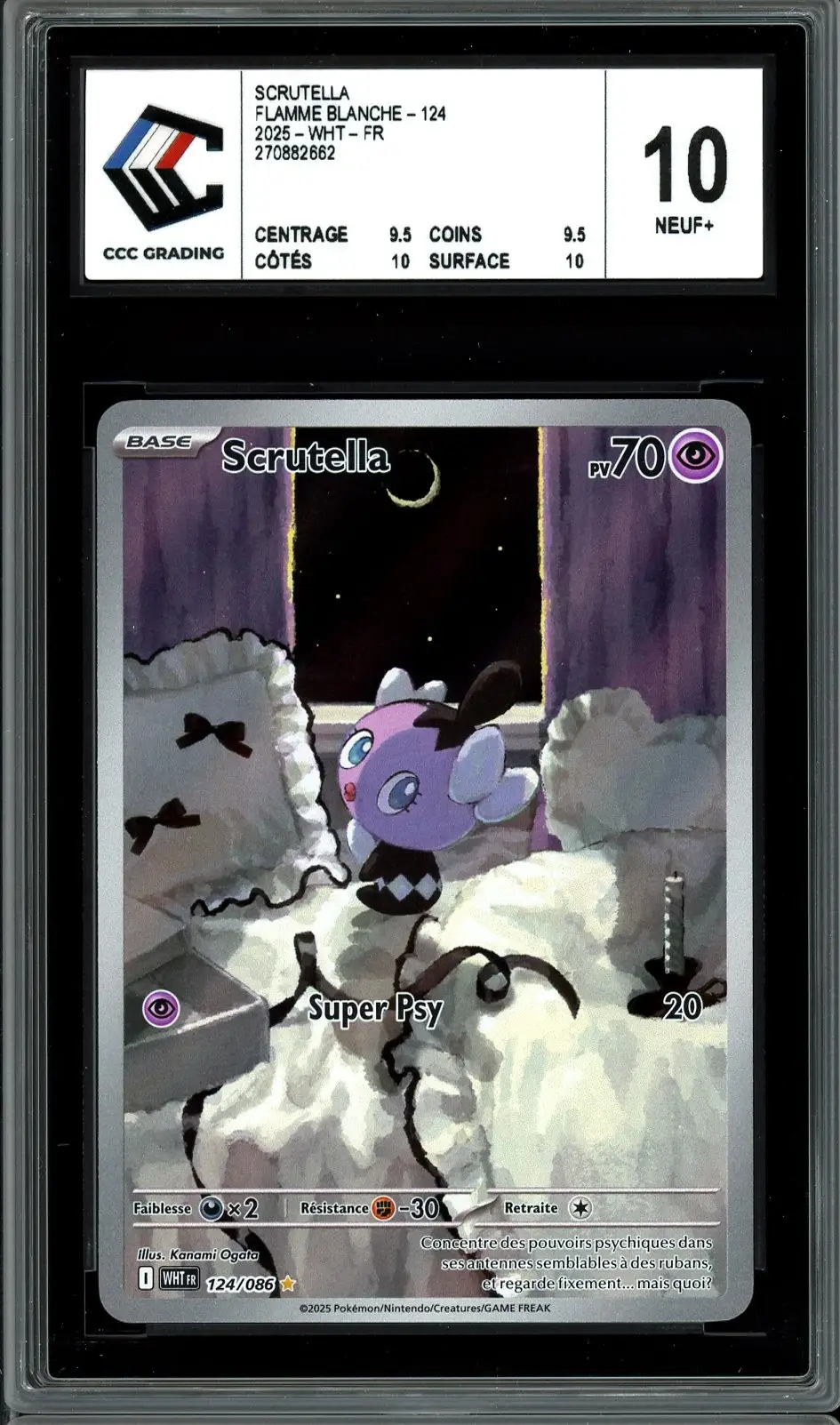 CCC 10 Scrutella