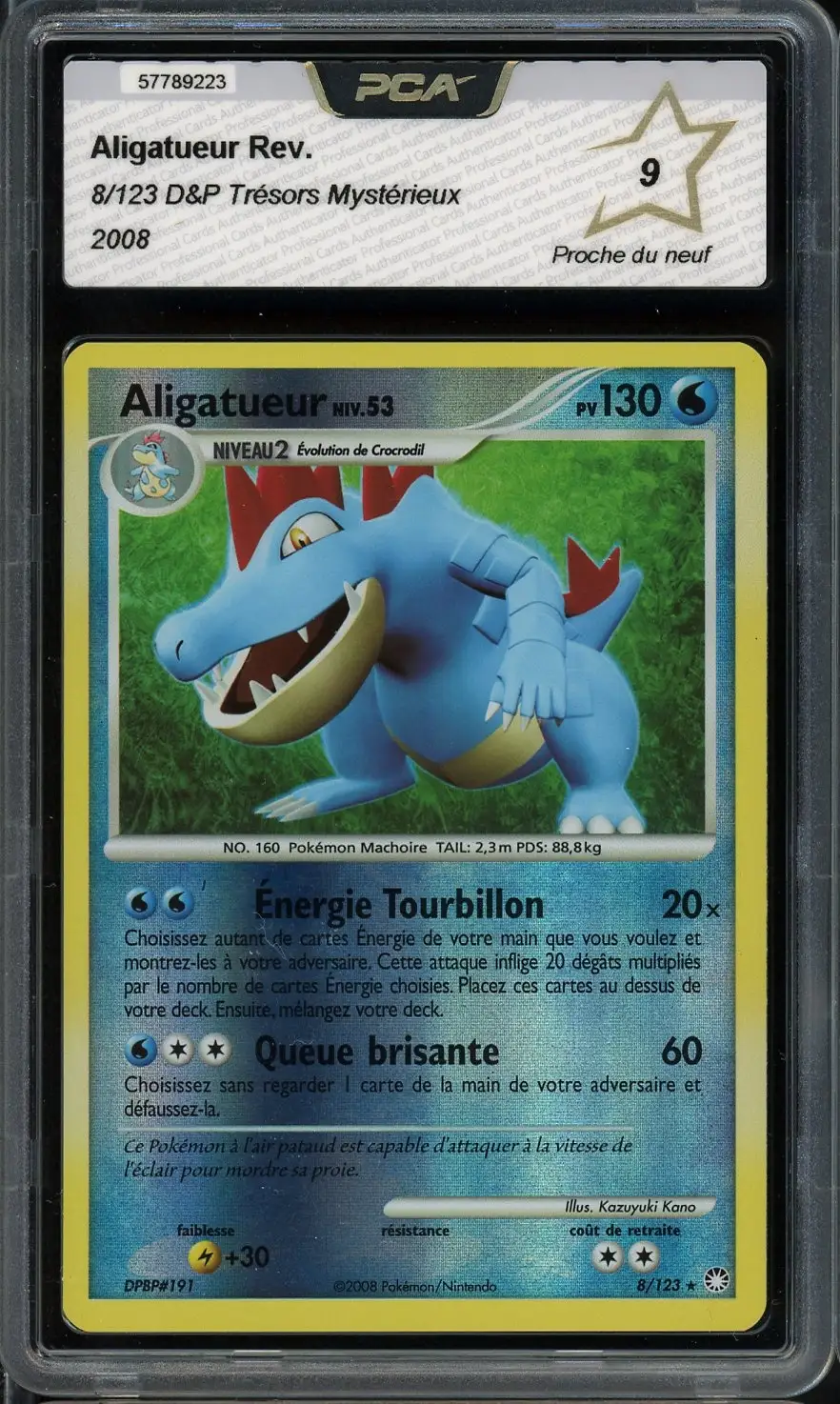 PCA 9 Aligatueur Reverse