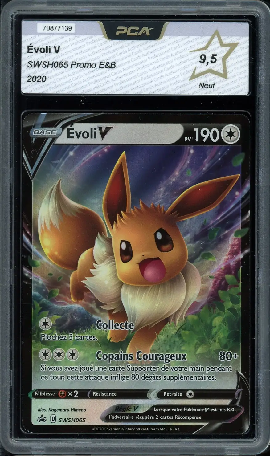PCA 9.5 Evoli V