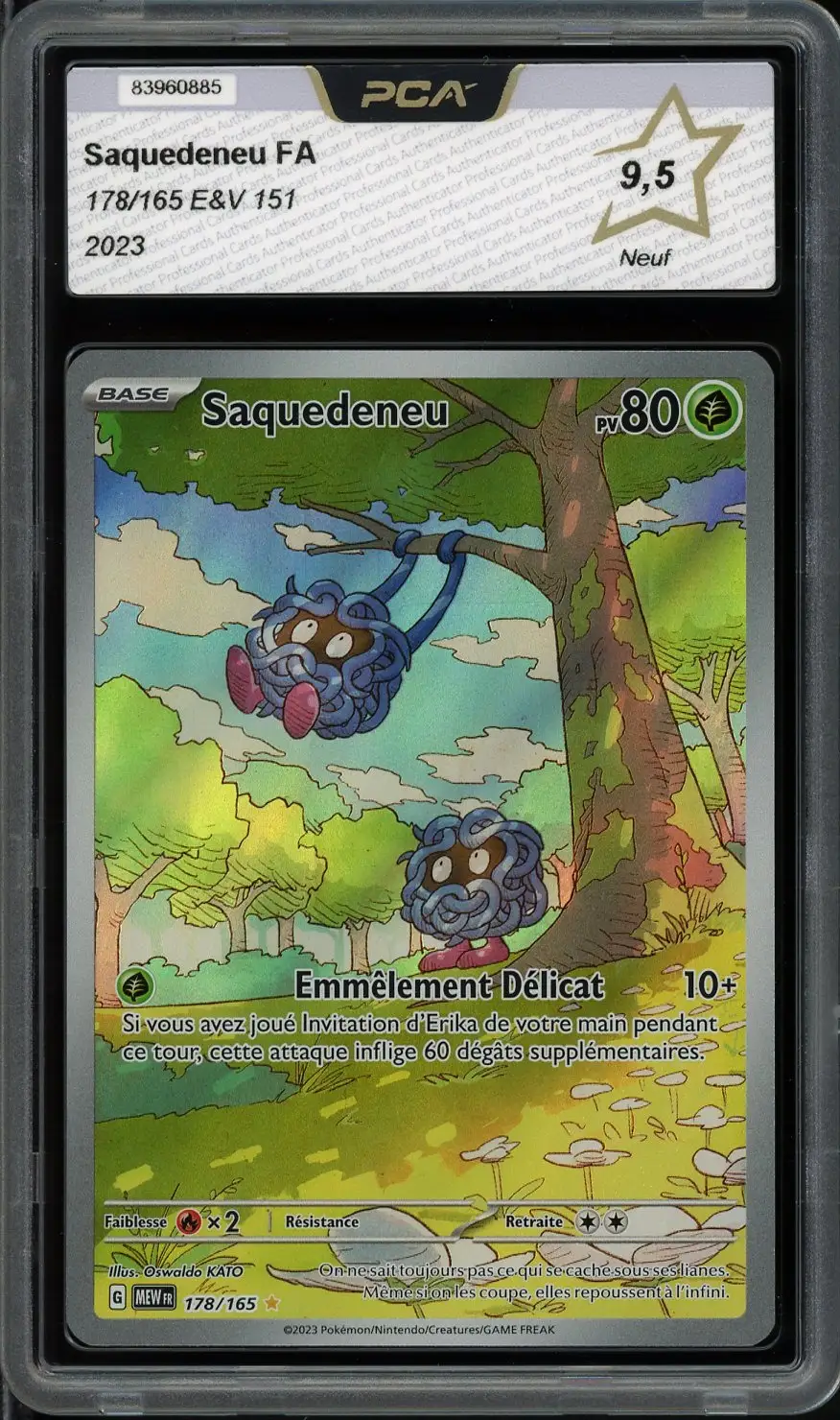 PCA 9.5 Saquedeneu