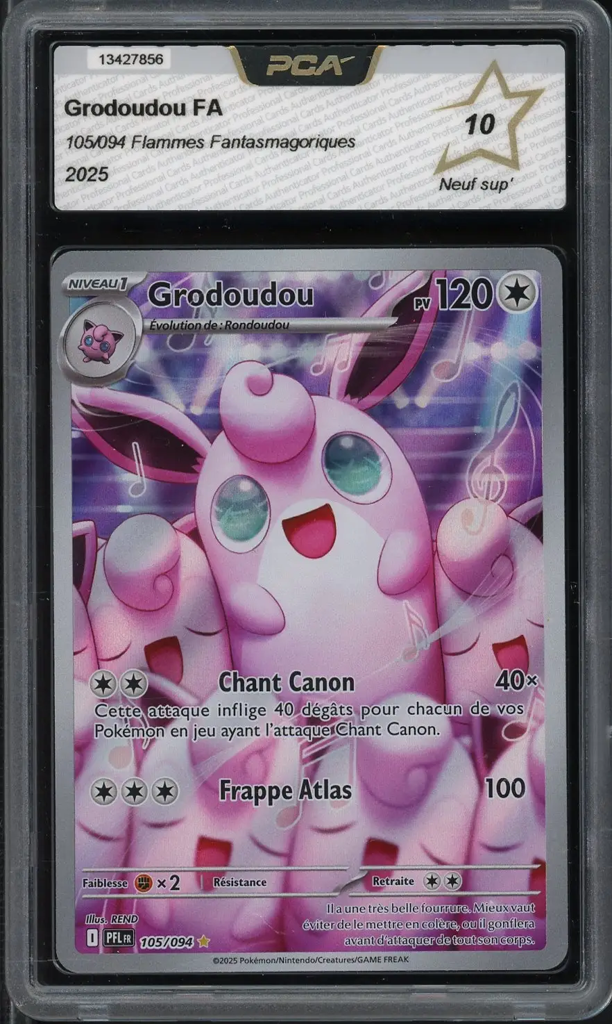 PCA 10 Grodoudou