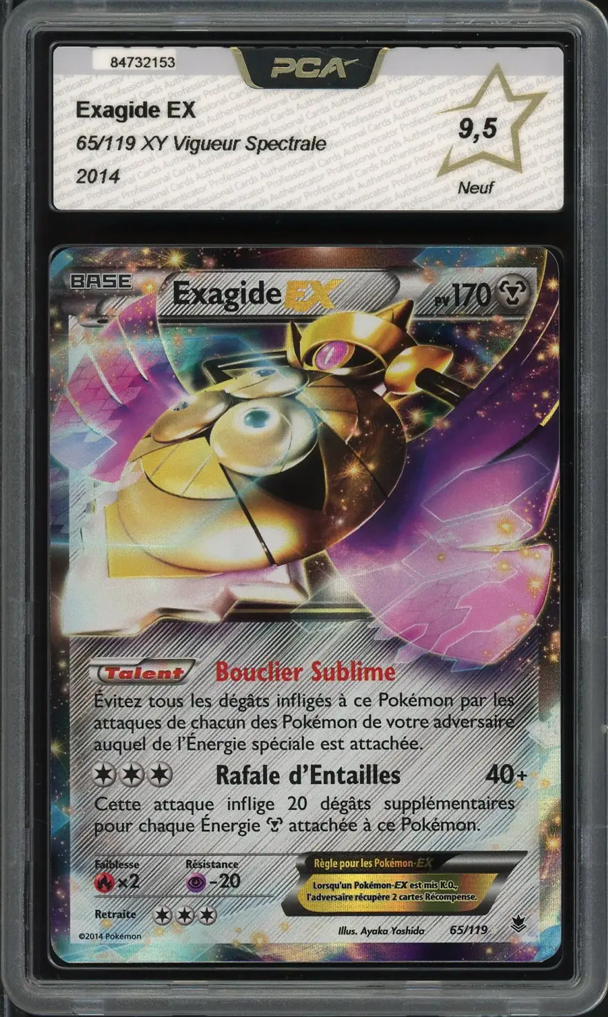 PCA 9.5 Exagide Ex