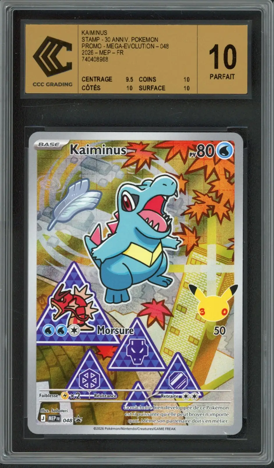 CCC 10 Kaiminus