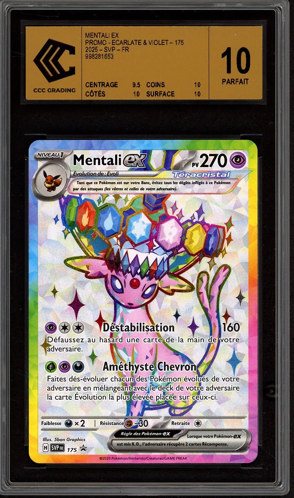 CCC 10 Mentali Ex