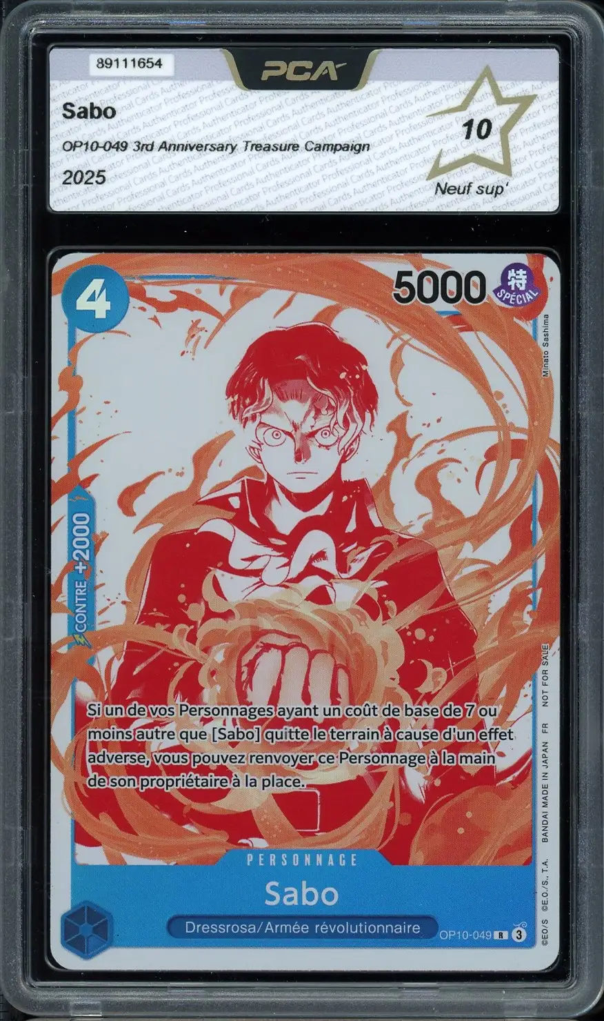 PCA 10 Sabo