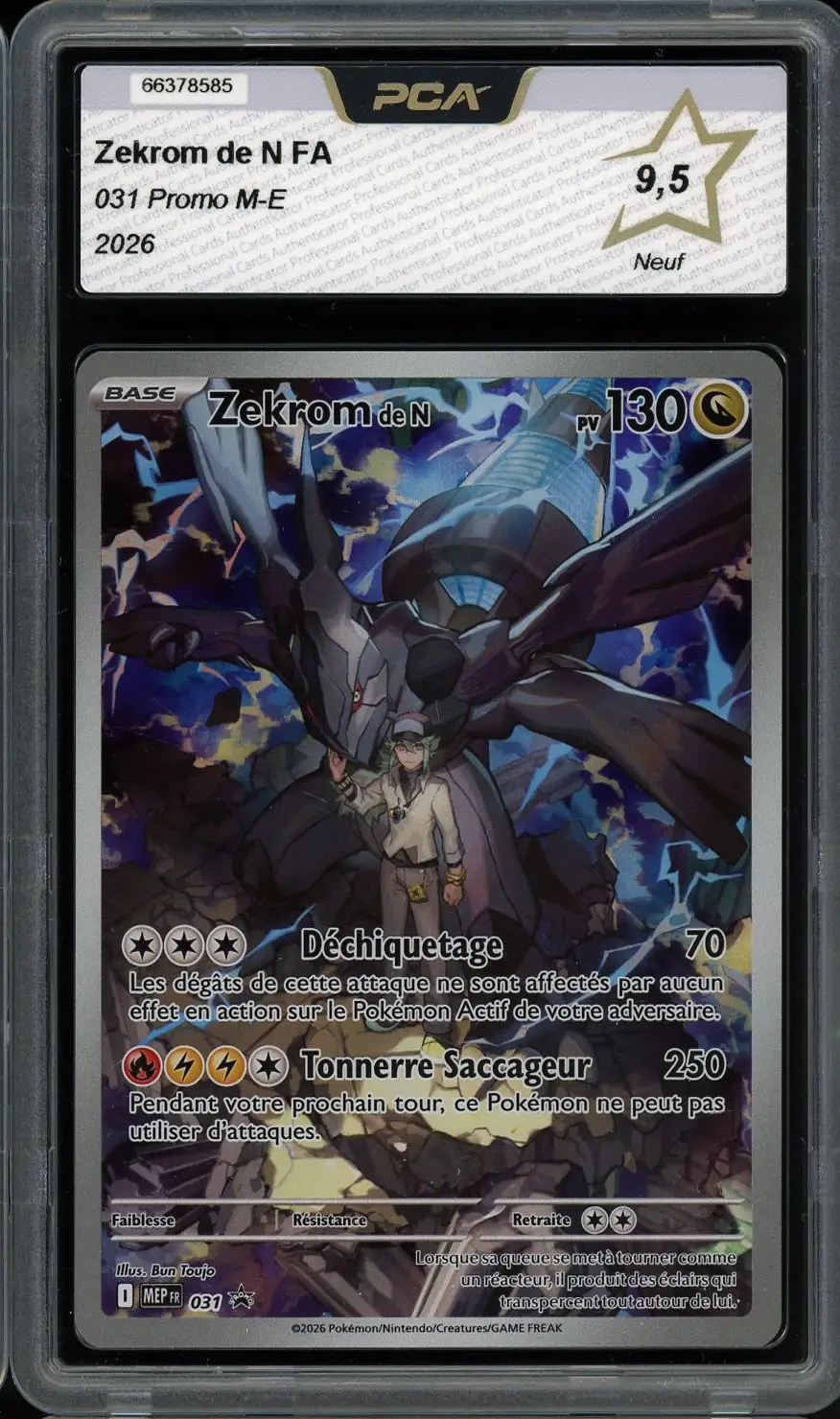 PCA 9.5 Zekrom de N