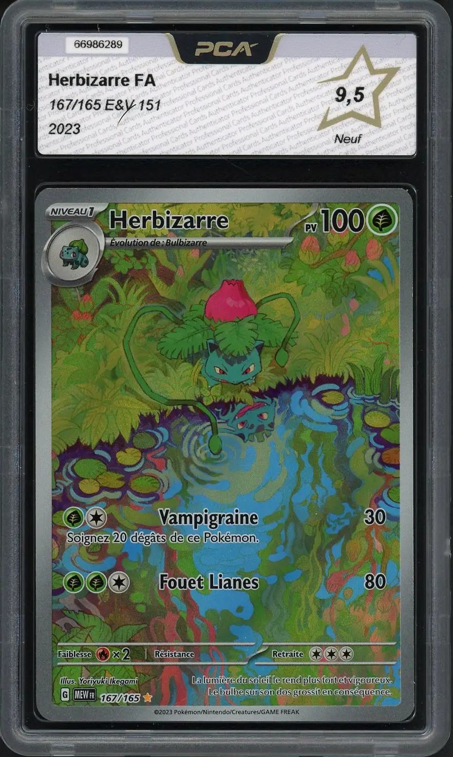 PCA 9.5 Herbizarre