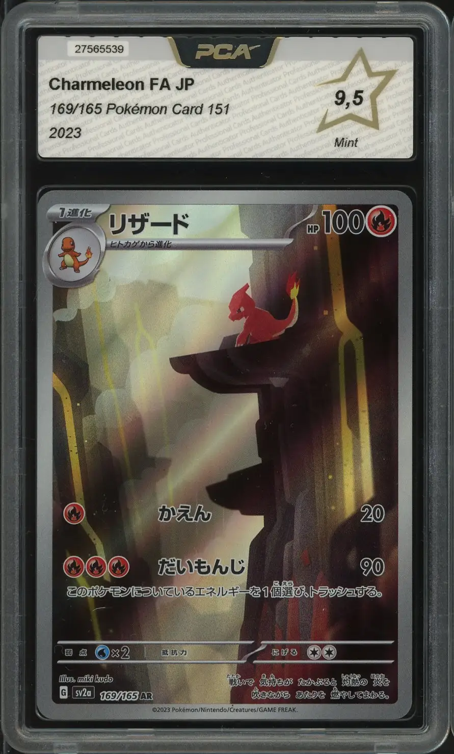PCA 9.5 Charmeleon