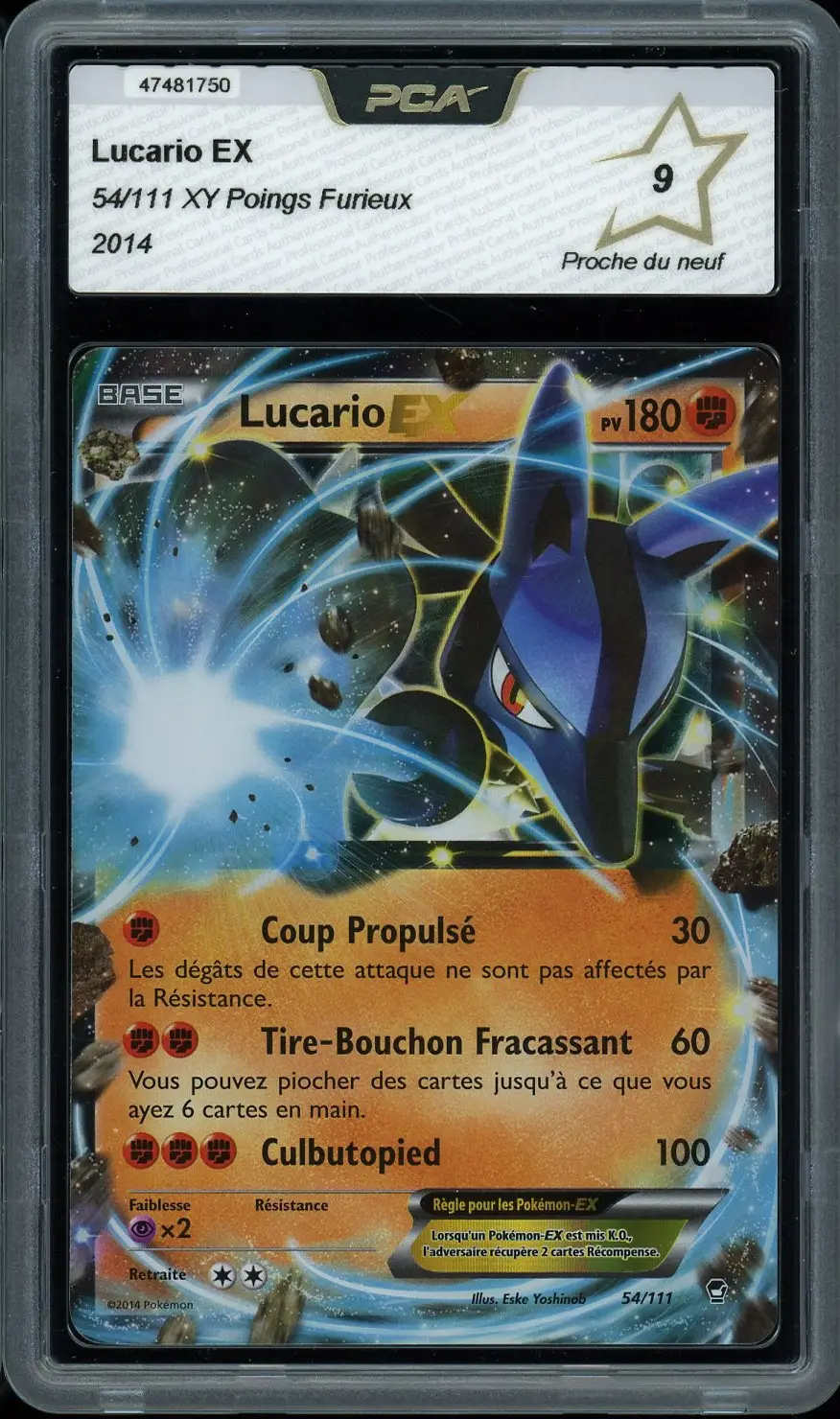 PCA 9 Lucario Ex