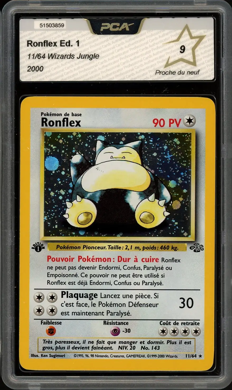 PCA 9 Ronflex Holo