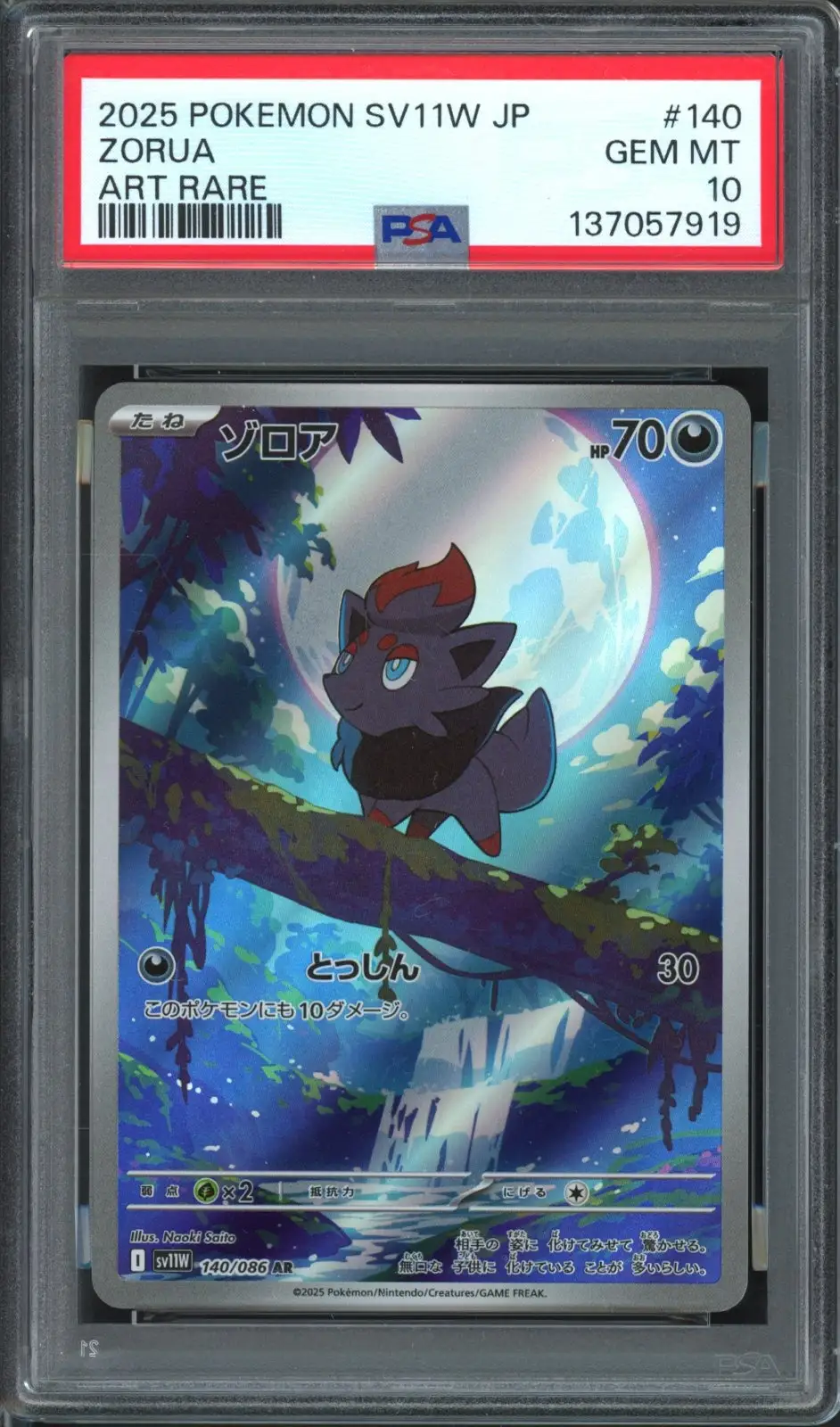 PSA 10 Zorua