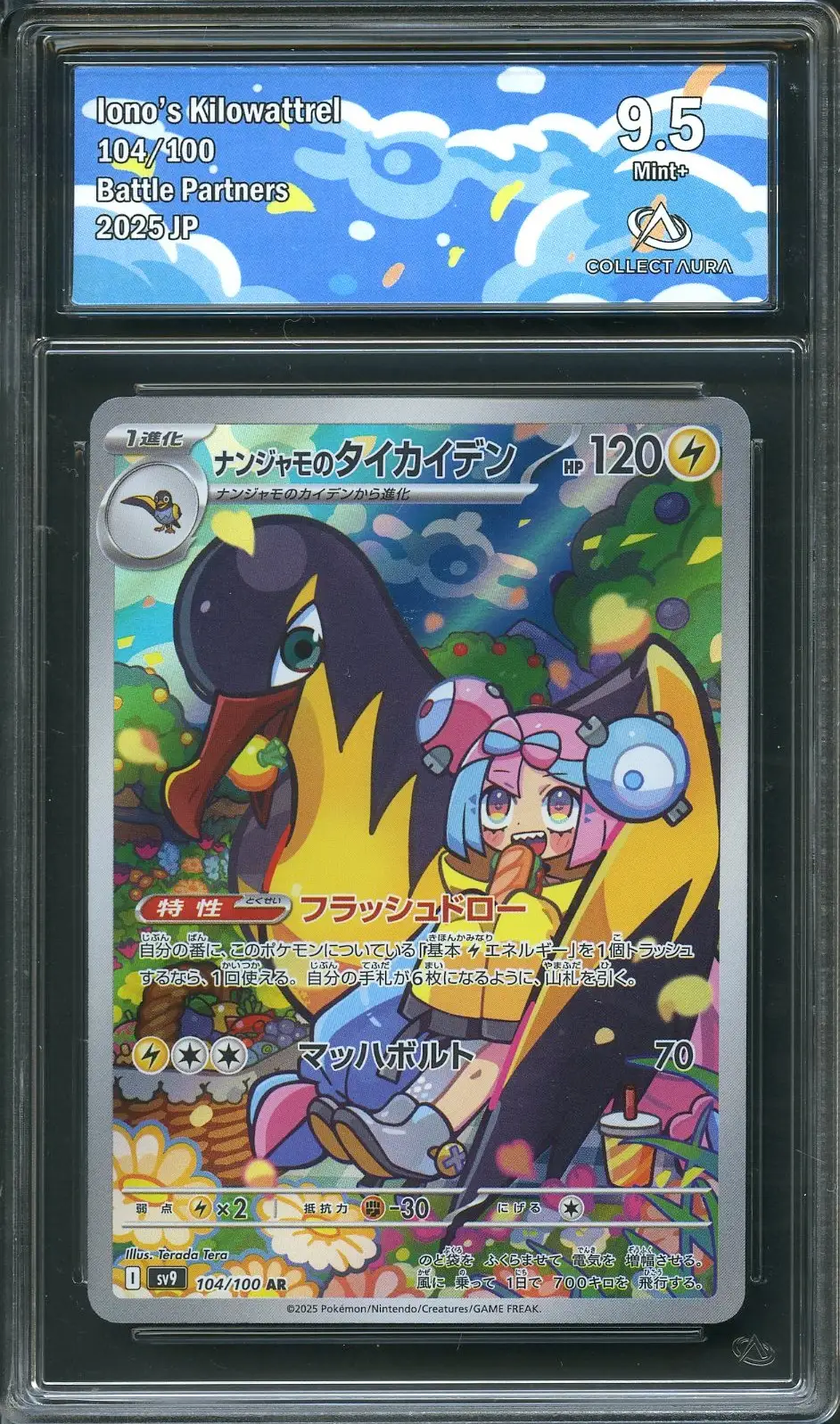 CA 9.5 Iono's Kilowattrel