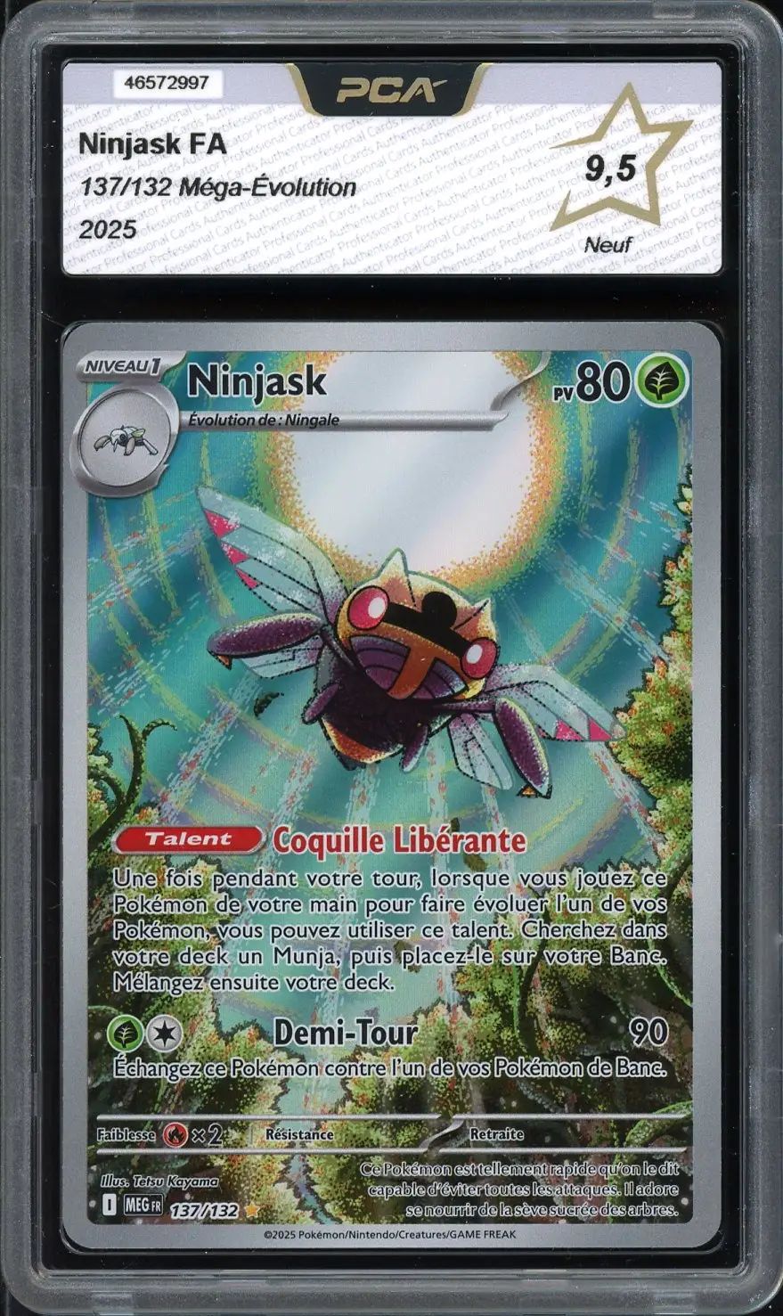 PCA 9.5 Ninjask