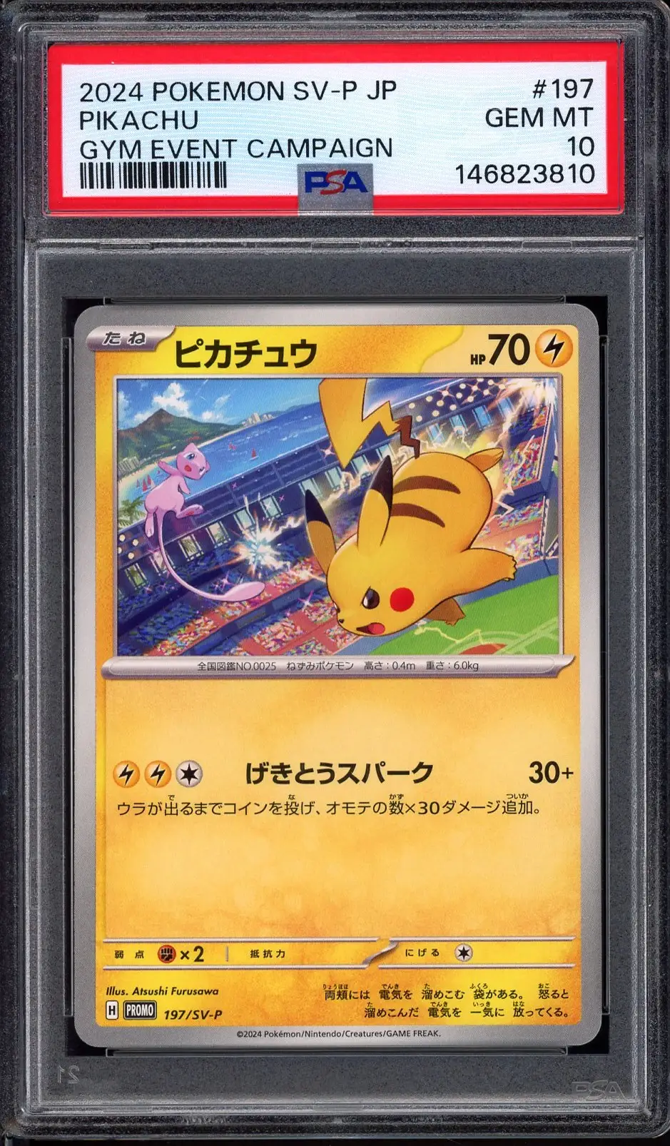 PSA 10 Pikachu
