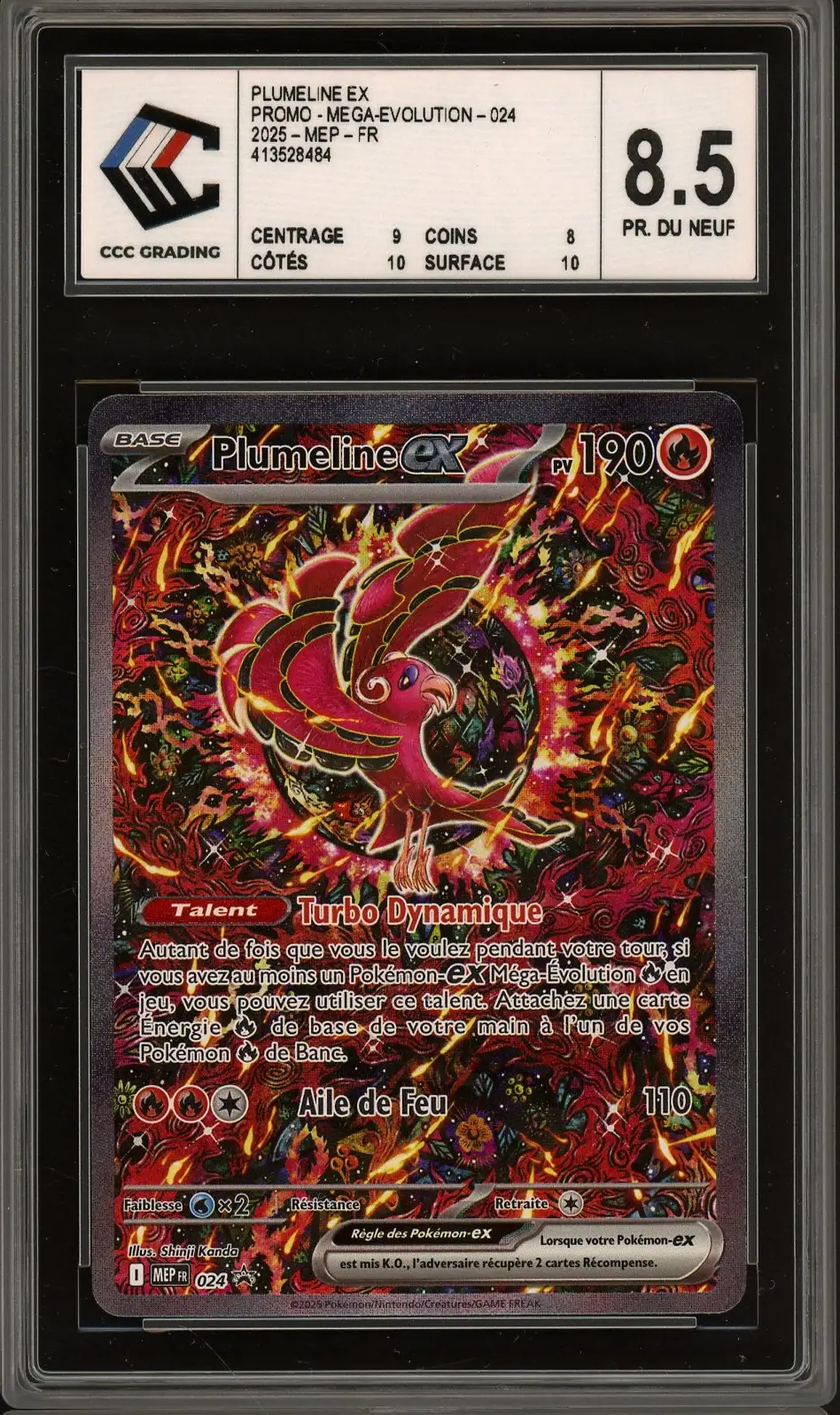 CCC 8.5 Plumeline Ex