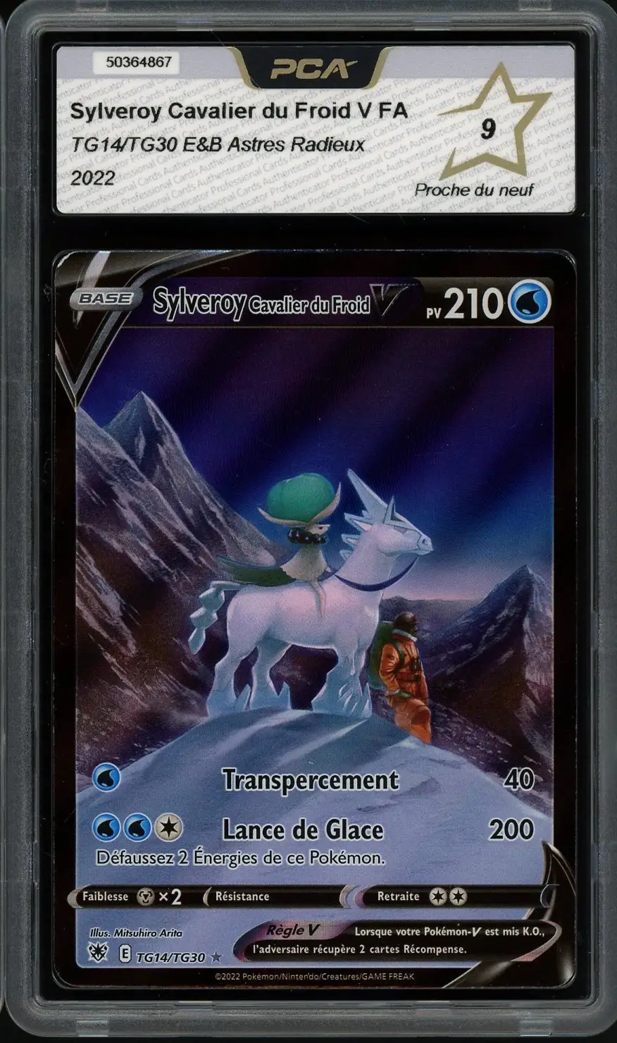 PCA 9 Sylveroy Cavalier du Froid V