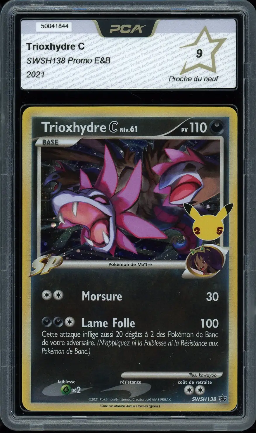 PCA 9 Trioxhydre C Holo