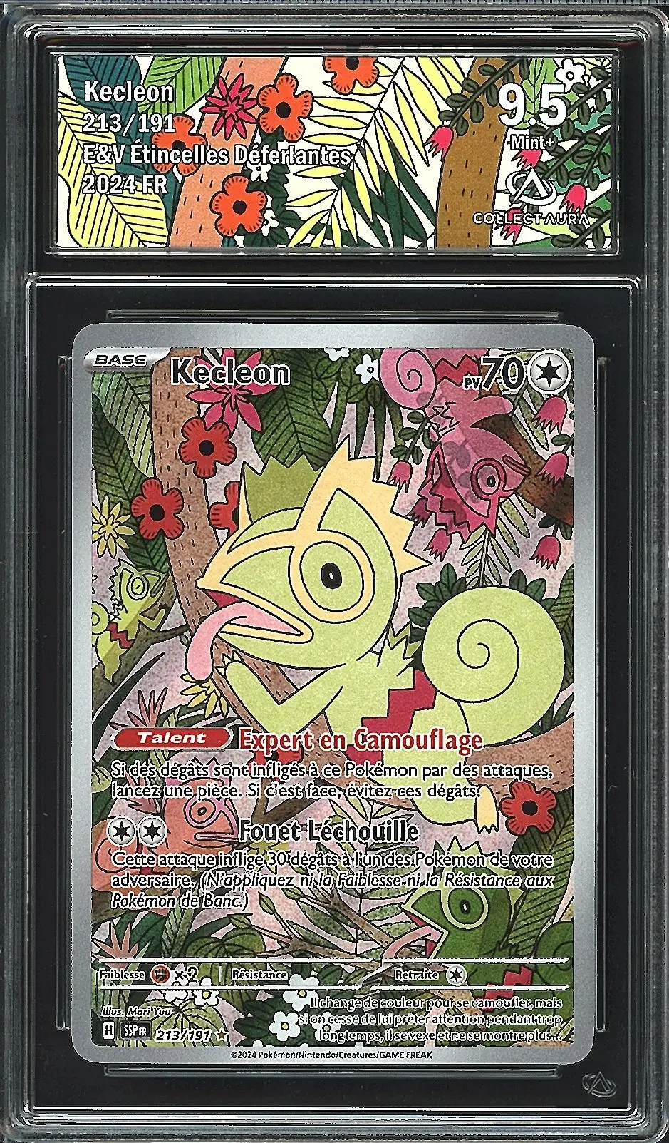 CA 9.5 Kecleon