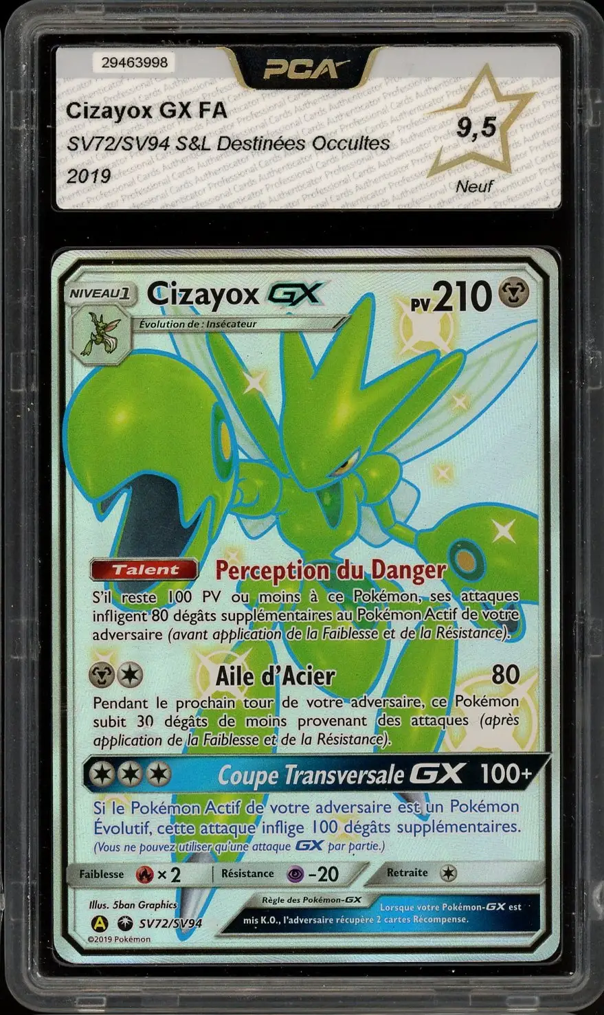 PCA 9.5 Cizayox Gx