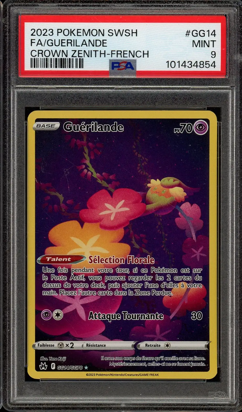 PSA 9 Guérilande