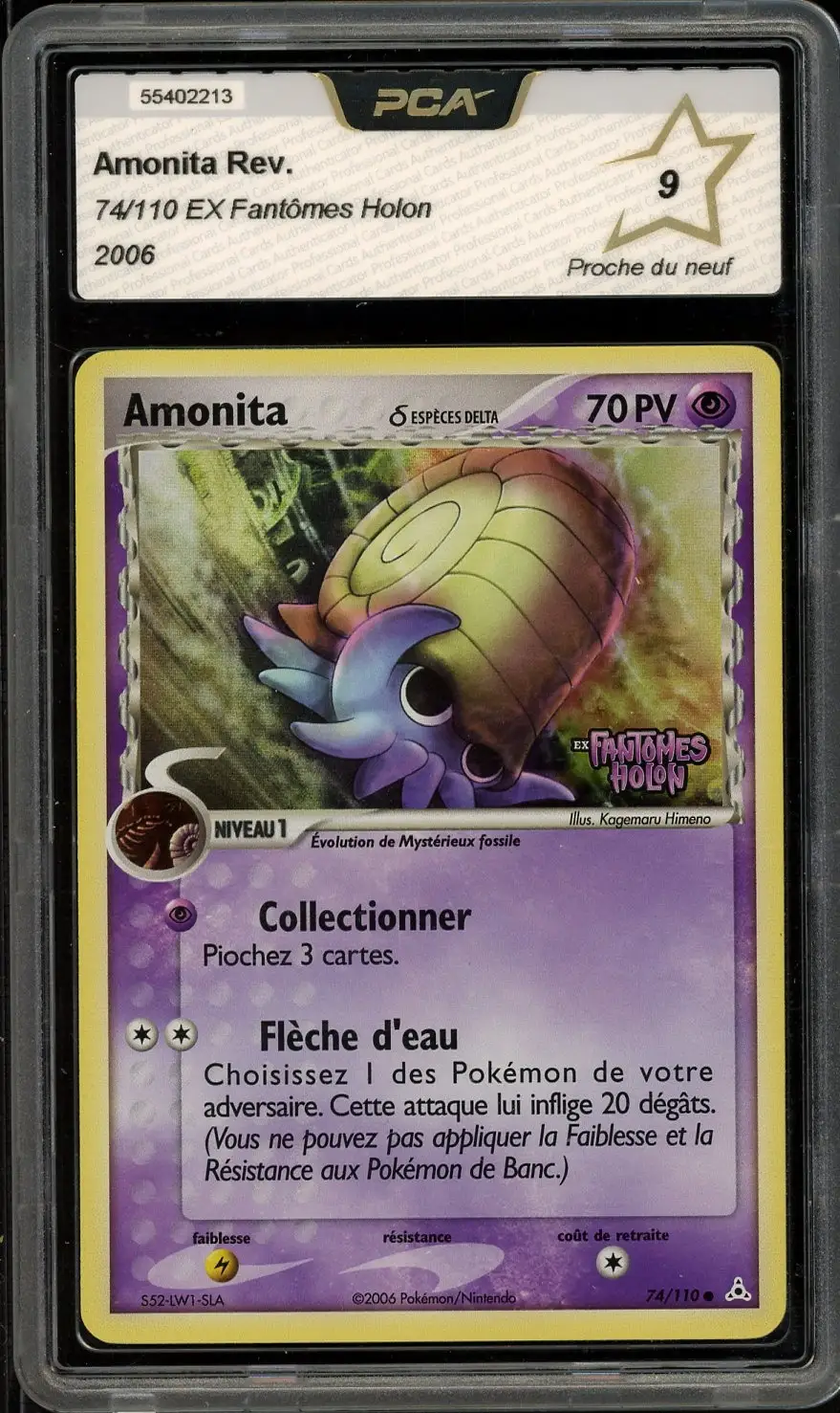 PCA 9 Amonita Reverse