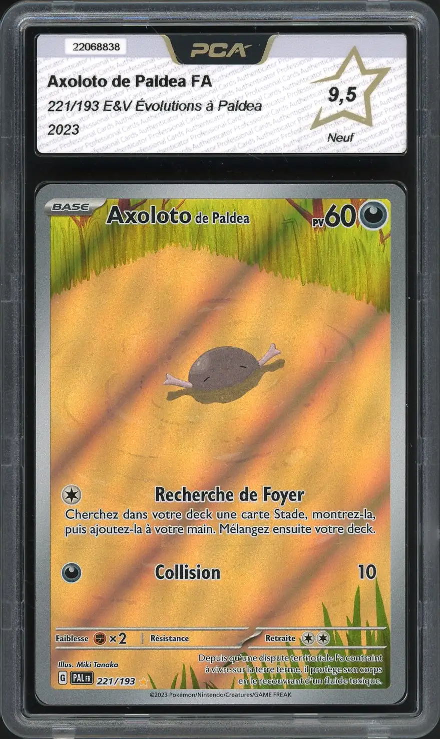PCA 9.5 Axoloto de Paldéa