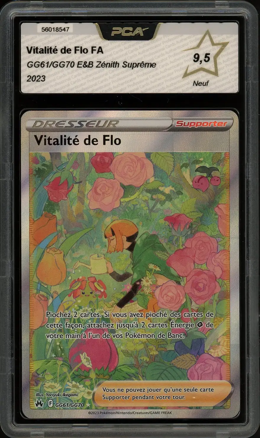PCA 9.5 Vitalité de Flo