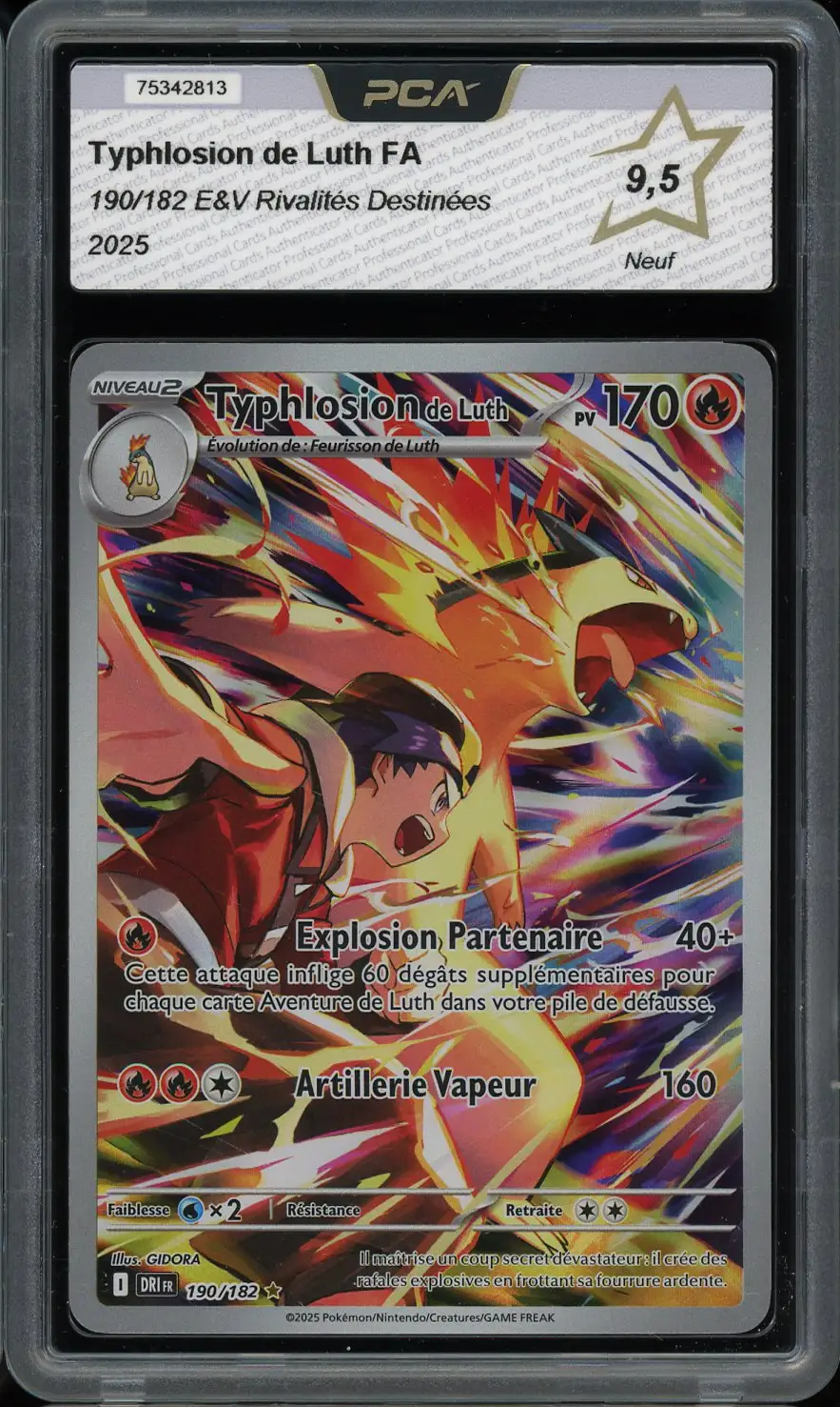 PCA 9.5 Typhlosion de Luth