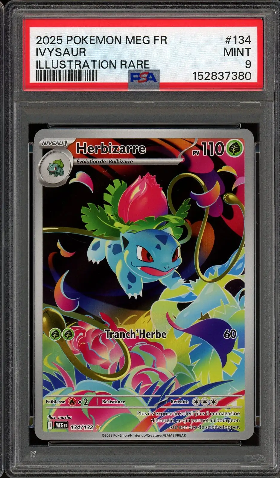 PSA 9 Herbizarre
