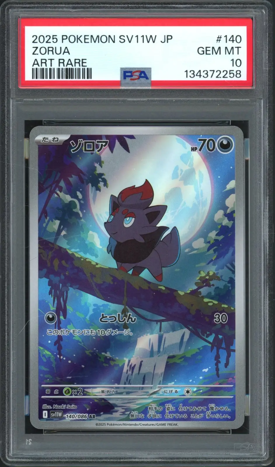 PSA 10 Zorua