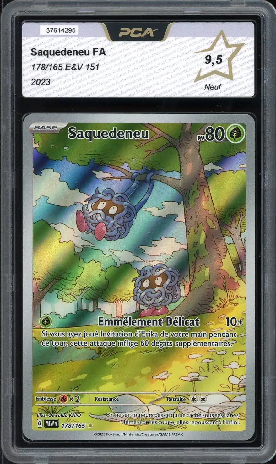 PCA 9.5 Saquedeneu