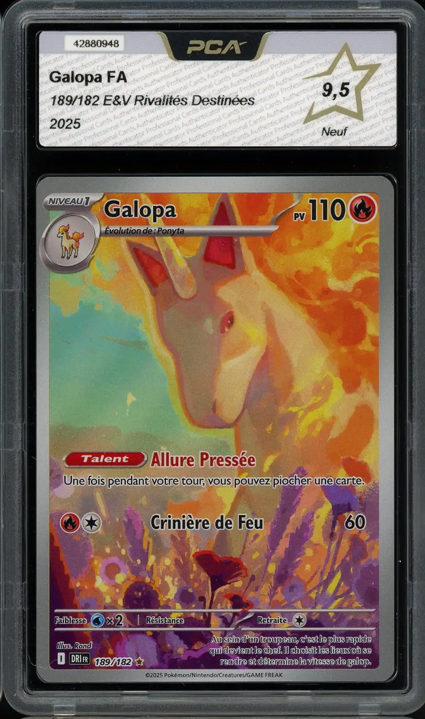 PCA 9.5 Galopa