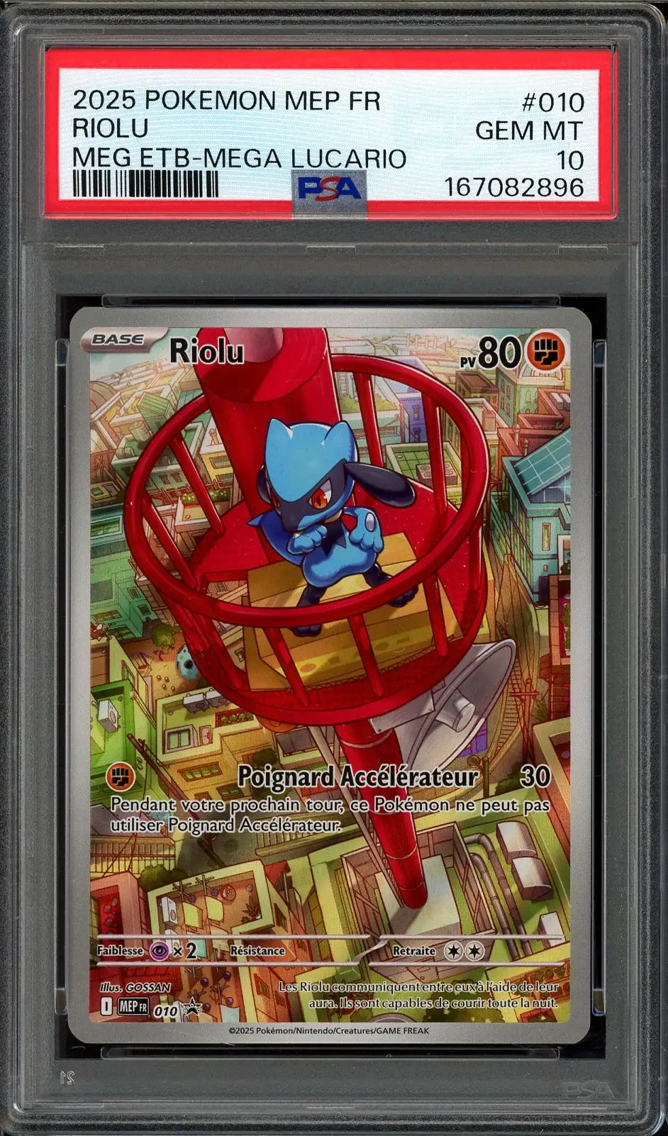 PSA 10 Riolu