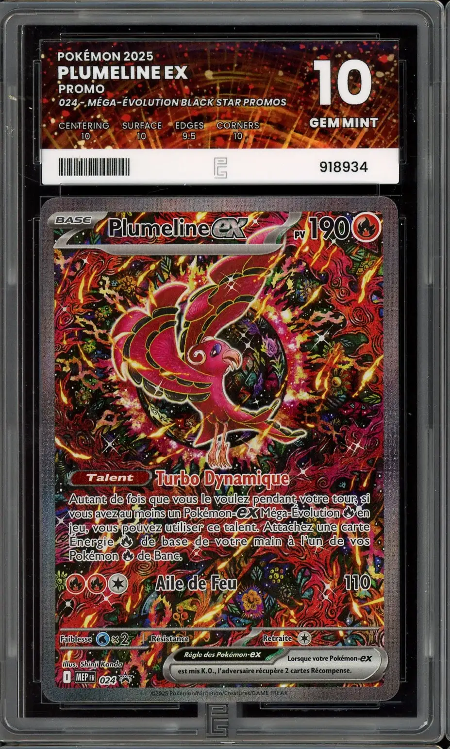 PG 10 Plumeline Ex